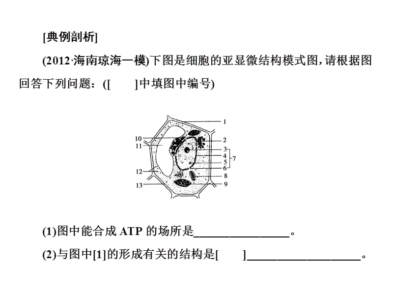 解题技能突破-模式图类解题.ppt_第3页