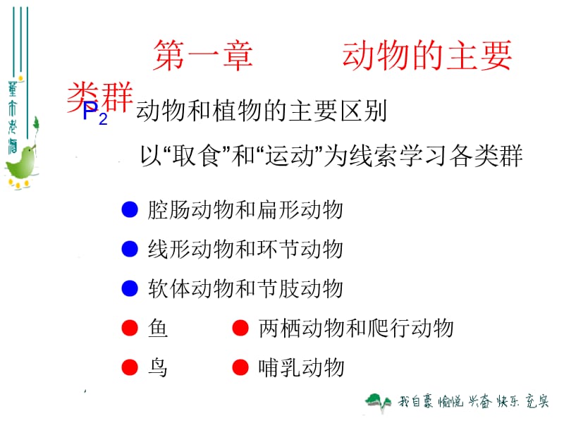 腔肠动物和扁形动物.ppt_第2页