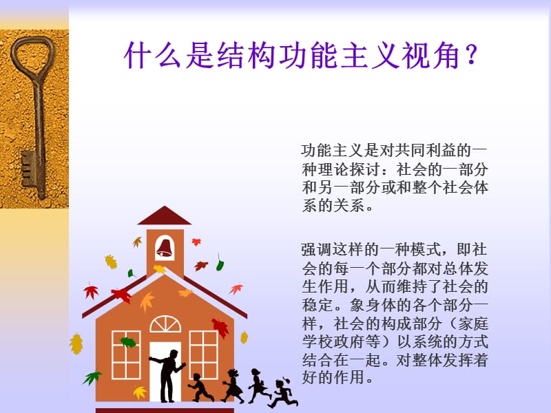 社会学第二讲：社会学的主要理论视角.ppt_第3页