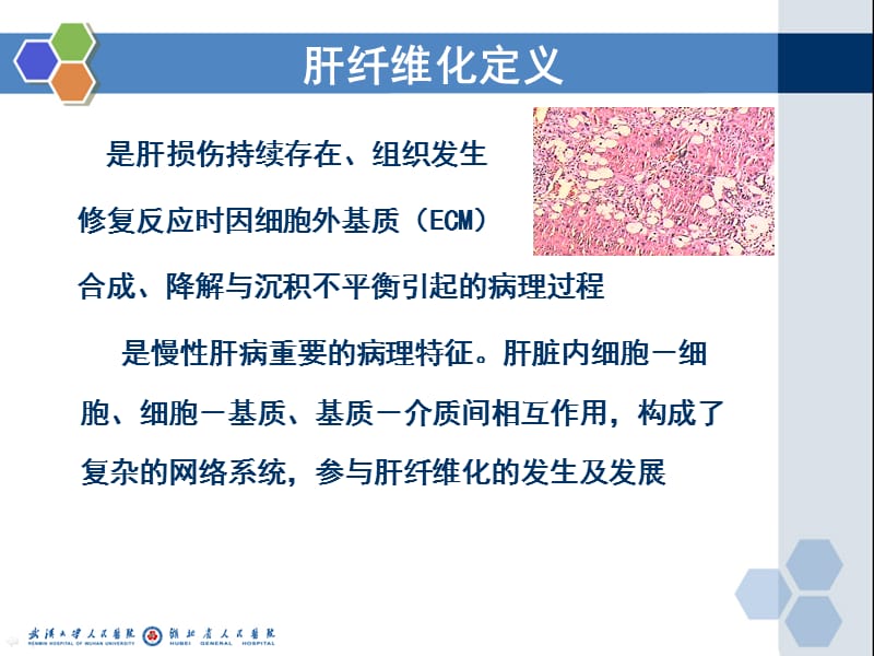 肝纤维化的中药治疗.ppt_第3页