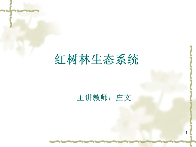 红树林生态系统主讲人庄文.ppt_第1页