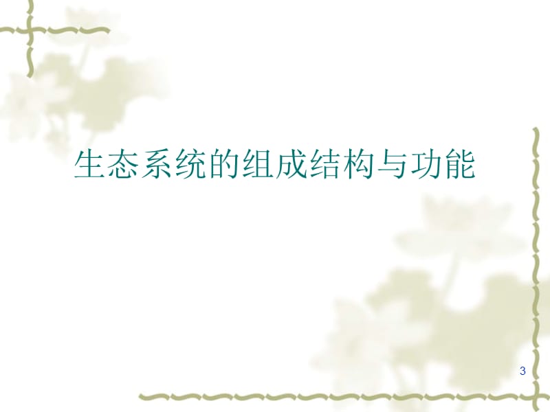 红树林生态系统主讲人庄文.ppt_第3页