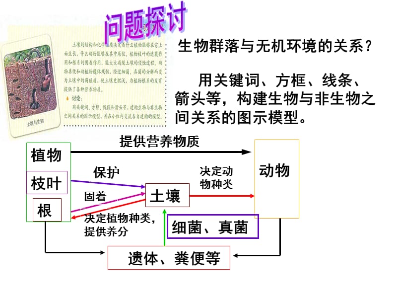 陈焕程生态系统的结构.ppt_第3页