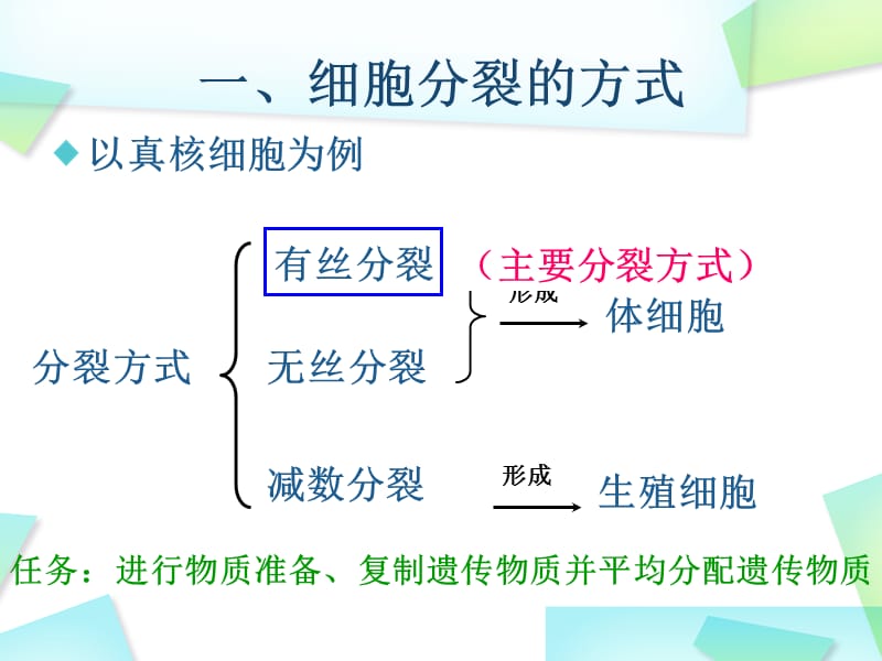 细胞的生命历程细胞的增殖.ppt_第2页