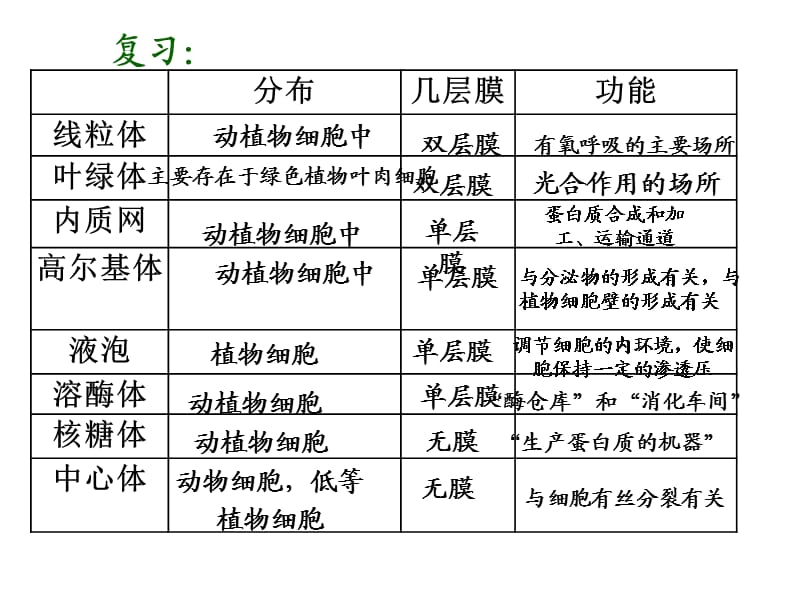 高一生物细胞器-系统内的分工合作.ppt_第2页