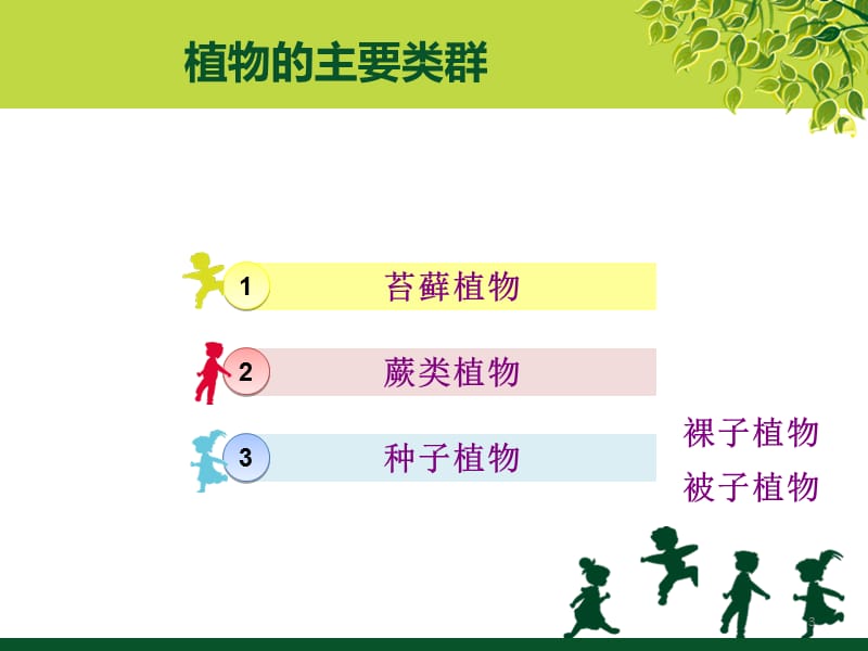 植物的主要类群整理ppt课件_第3页