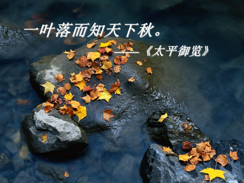 经典《-故都的秋》ppt课件.ppt_第3页