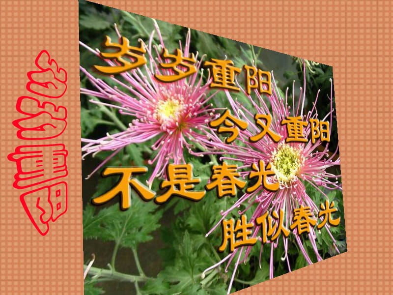 祝天下老年人重阳节快乐.ppt_第2页