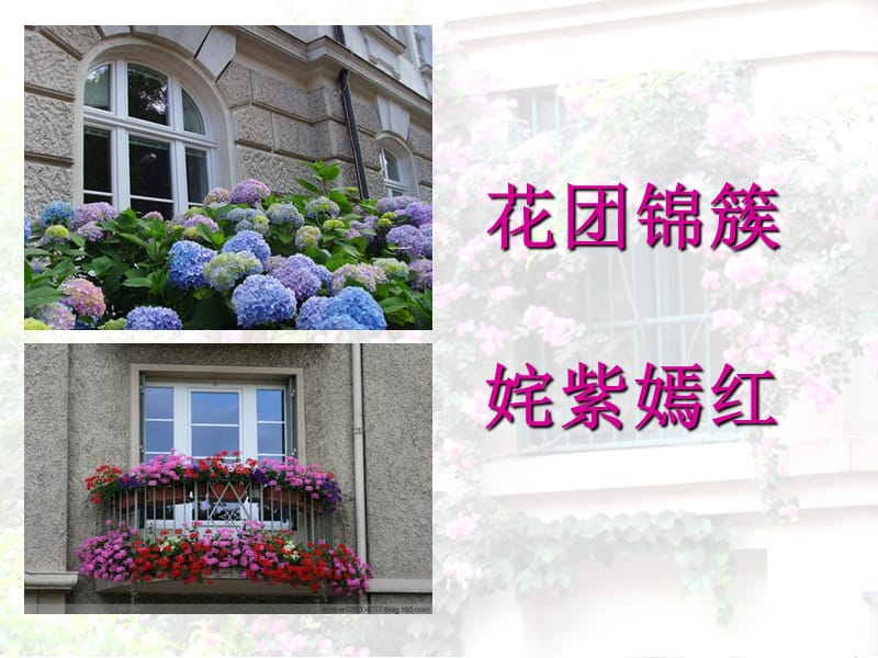 自己的花是让别人看的.ppt_第3页