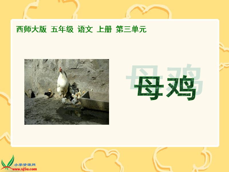 西师大版五年级语文上册《母鸡》课件.ppt_第1页