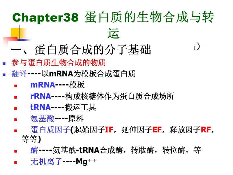 蛋白质的合成与转运.ppt_第2页