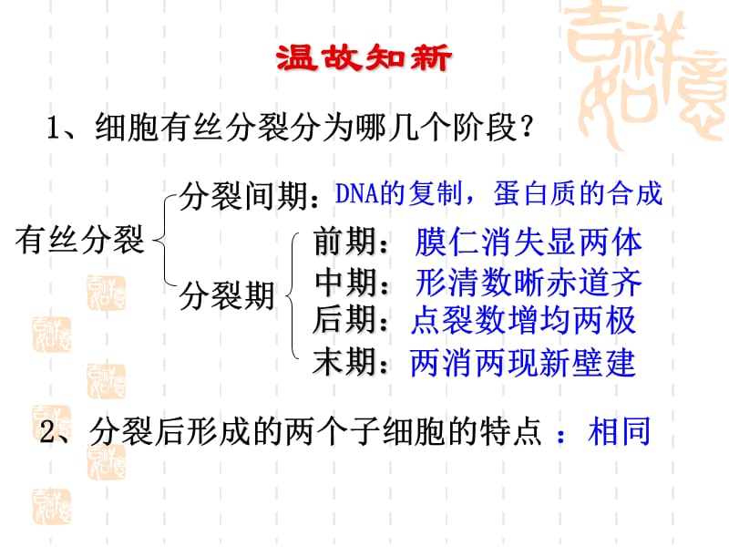 细胞的分化、衰老和癌变.ppt_第3页