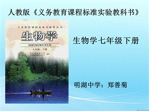 研課標說教材生物七年級下冊.ppt