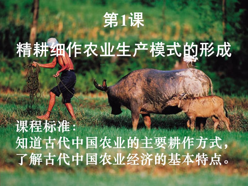 课精耕细作的农业生产模式形成.ppt_第1页