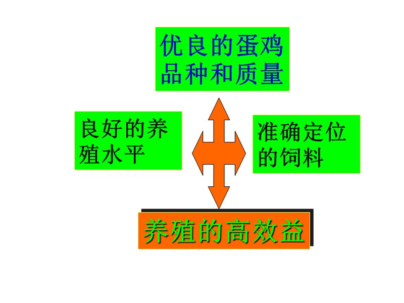 蛋鸡饲料的数字营销.ppt_第3页