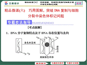 DNA復制與細胞分裂中染色體標記ppt課件