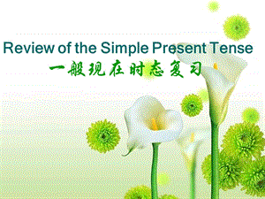 英語(yǔ)動(dòng)詞的一般現(xiàn)在時(shí).ppt