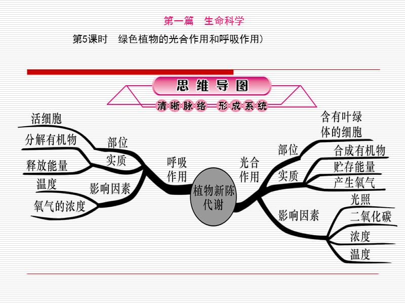 课时绿色植物的光合作用和呼吸作用.ppt_第1页