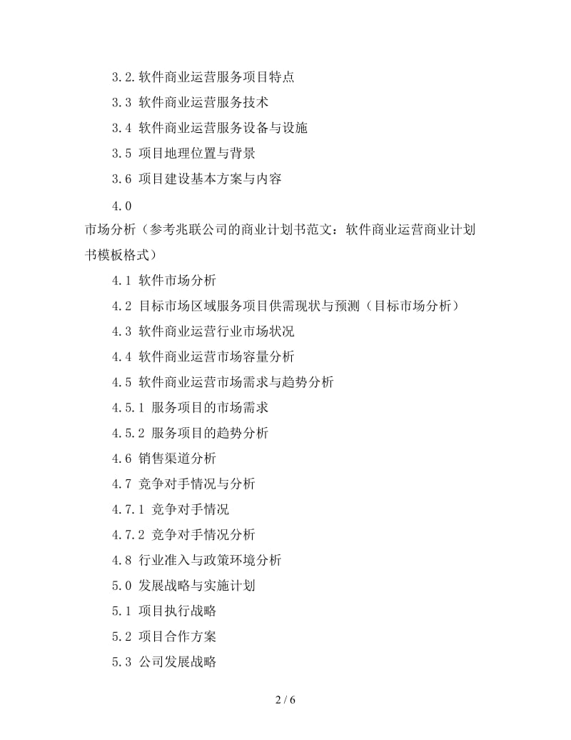 软件商业运营项目工作计划书.doc_第2页