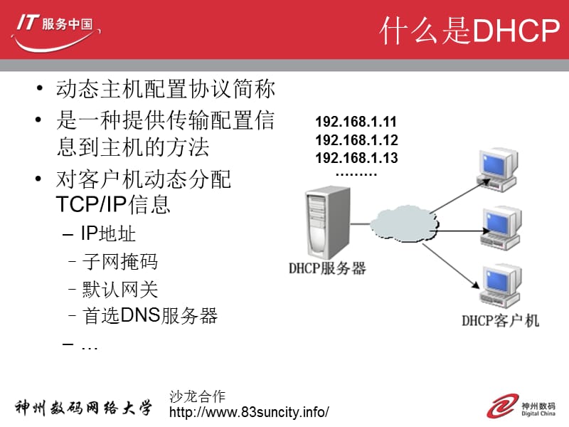 神州数码DHCP的配置与分析.dhcp.ppt_第2页