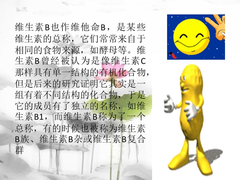 维生素B族及其功能.pptx_第2页