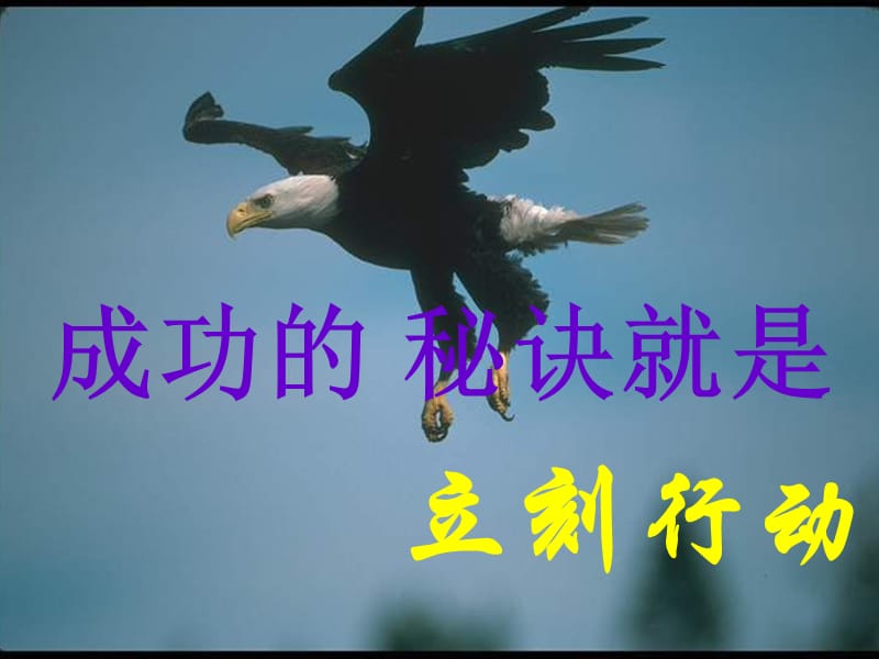 高一年级主题班会：成功的秘诀就是立刻行动.ppt_第2页