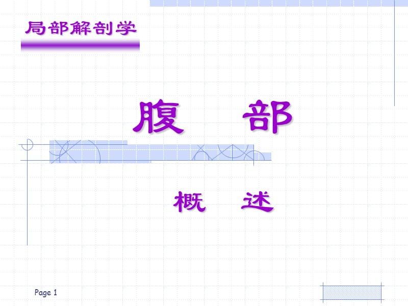 局部解剖学腹部ppt课件_第1页