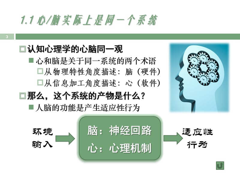 进化心理学的原理与方法.pptx_第3页