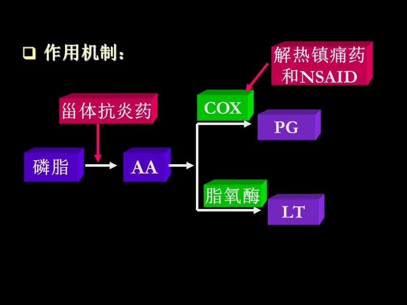 解热镇痛药及非甾体抗炎药.ppt_第2页