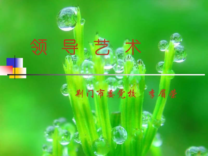 领导艺术课件(荆宜).ppt_第1页