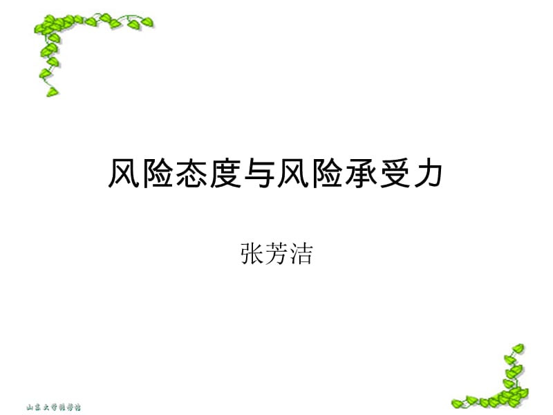 风险态度与风险承受能力.ppt_第1页