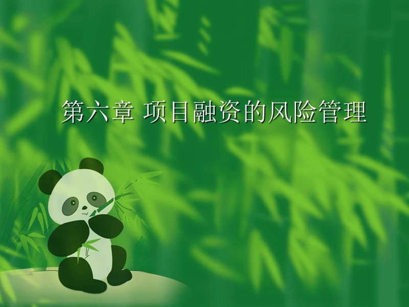 项目融资的风险管理.ppt_第1页