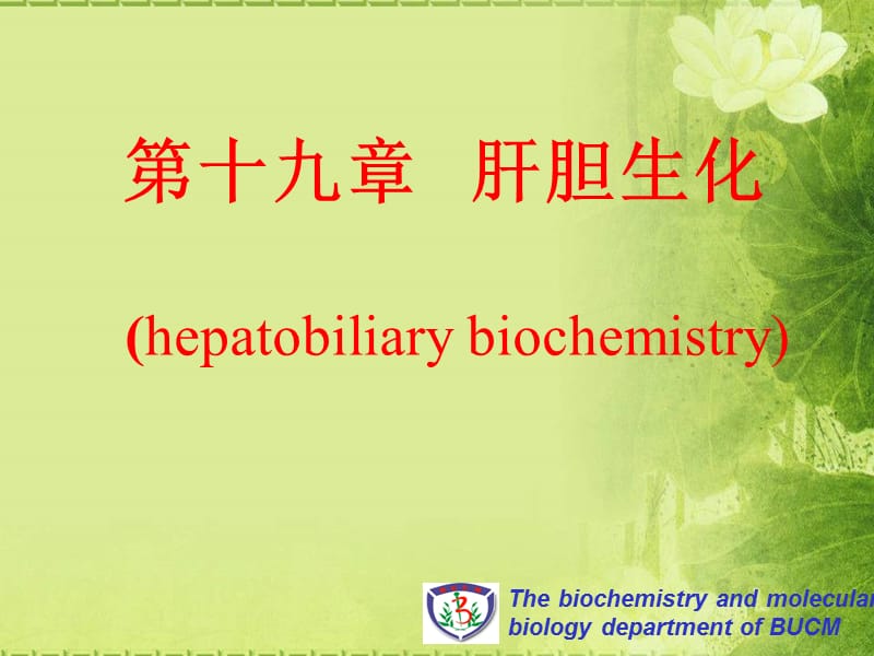 肝胆生化-生物化学课件.ppt_第1页