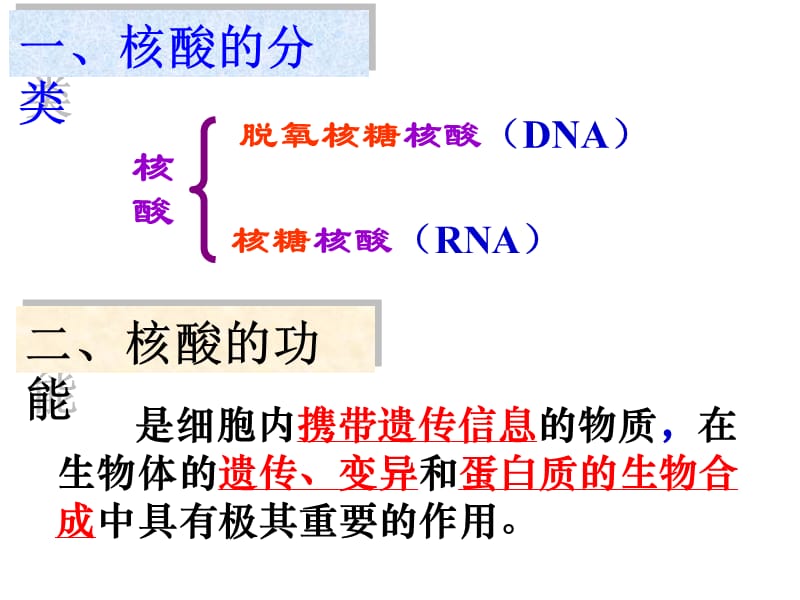 组成细胞的分子遗传信息的携带者(srm).ppt_第2页