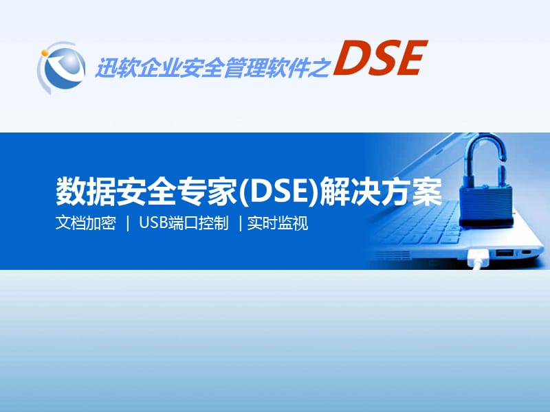 迅软数据安全(DSE)解决方案.ppt_第1页