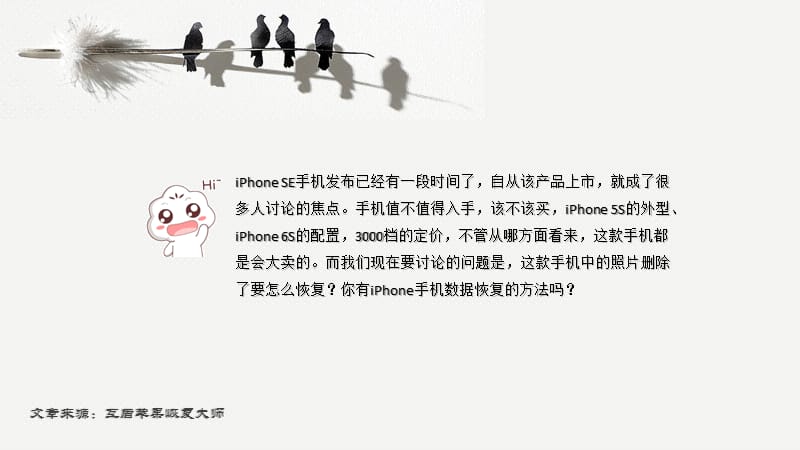 苹果iPhonSE手机照片删除如何恢复.pptx_第2页