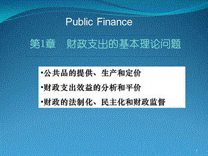 財政支出的基本理論問題.ppt