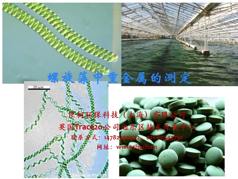 螺旋藻中重金属的检测.ppt_第1页