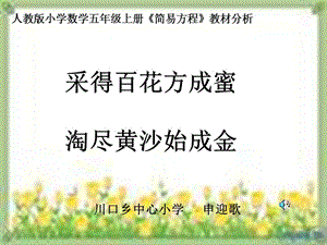 說教材《簡易方程》川口鄉(xiāng)申迎歌.ppt