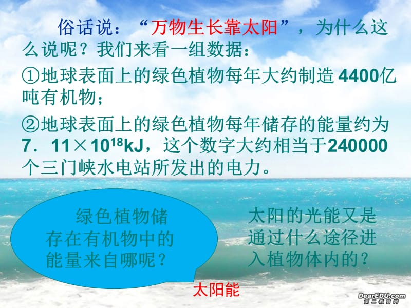 苏教版教学课件高中生物苏教版必修一第4章第2节：《光合作用》课件.ppt_第2页