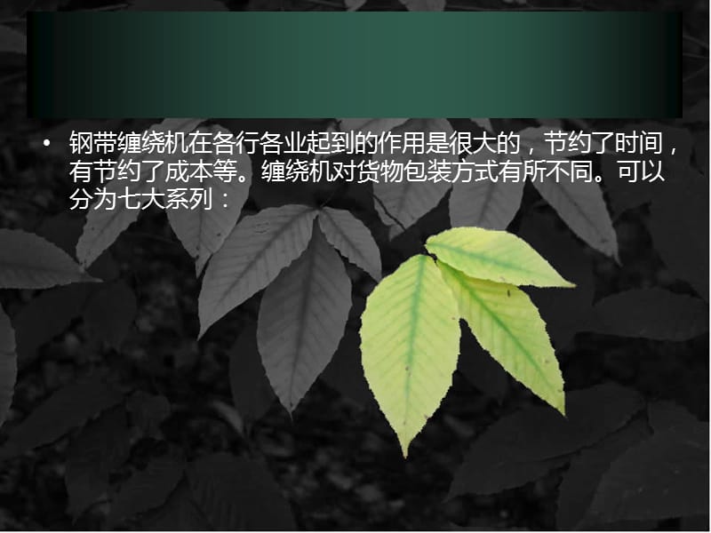 钢带缠绕机的七大分类及用途.ppt_第2页