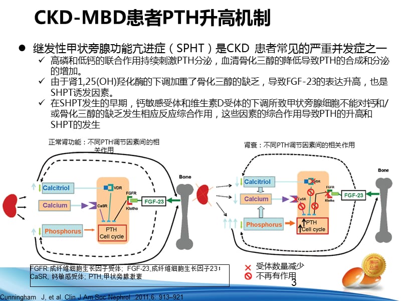 CKD患者PTH达标范围解读ppt课件_第3页