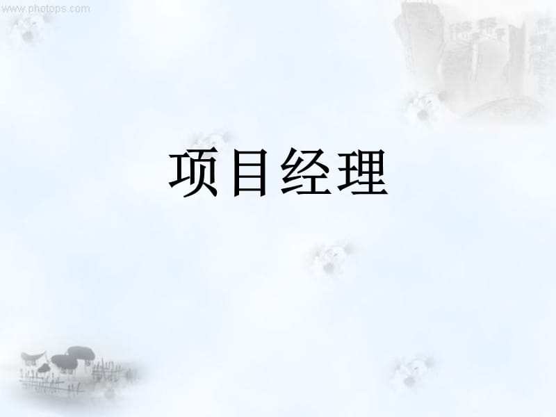 项目组织与项目团队.ppt_第2页