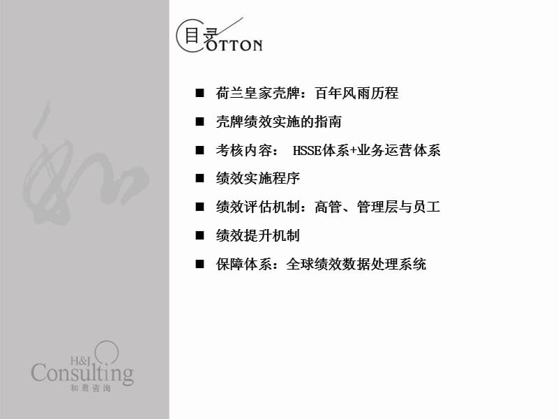 荷兰皇家壳牌：绩效实施.ppt_第3页