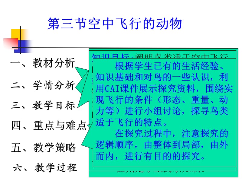 空中飞行的动物(第一课时).ppt_第2页