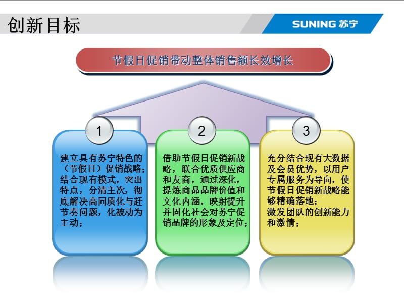 被苏宁毙掉的节假日促销微创新申请书.pptx_第3页