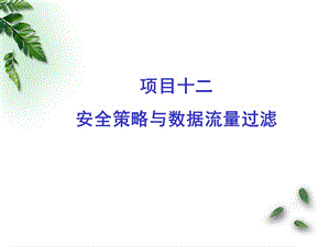 項(xiàng)目十二安全策略與數(shù)據(jù)流量過(guò)濾.ppt