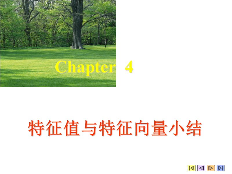 特征值与特征向量小结.ppt_第1页