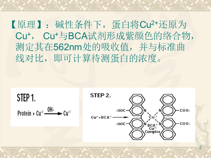 BCA法测蛋白ppt课件_第2页