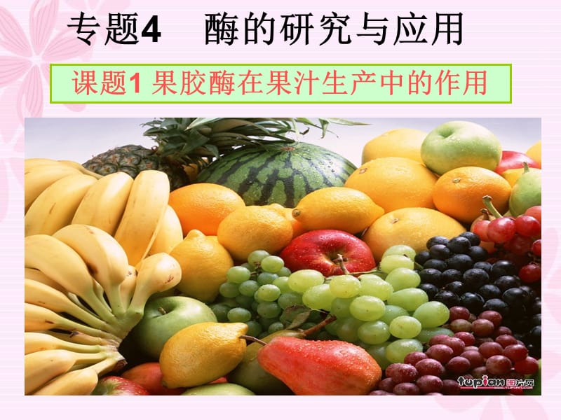 果膠酶在果汁生產(chǎn)中的作用.ppt_第1頁